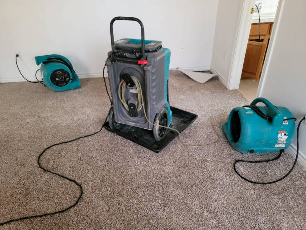 Best 24-hour water damage restoration  in Windber, PA