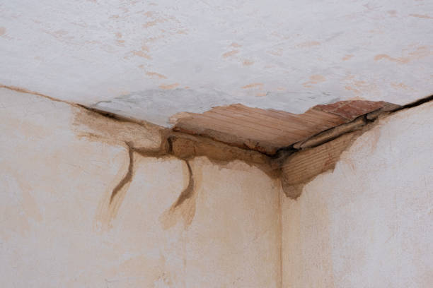 Best Flood restoration services  in Windber, PA